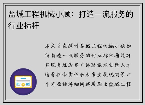 盐城工程机械小顾：打造一流服务的行业标杆